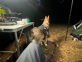 First nights dinner