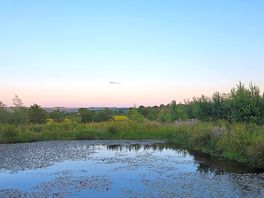 Beautiful sunset over the pond.