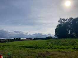 View from the wild