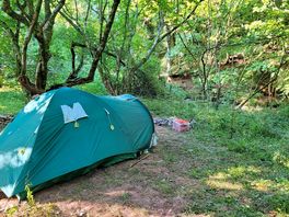 Overlooking the stream, this is just what we were looking for.