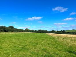 Grass pitches