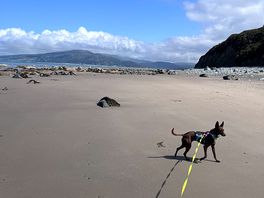 The beach 5 minutes walk away