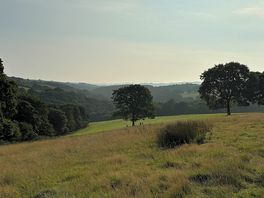 View from tent