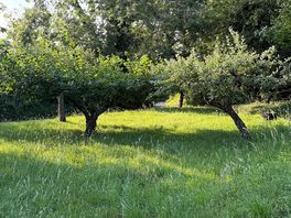 Brocklands farm