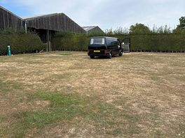 Four large ehu pitches
