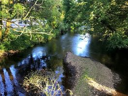 The river banwy in all its glory