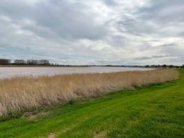 Bird watchers might like this place .