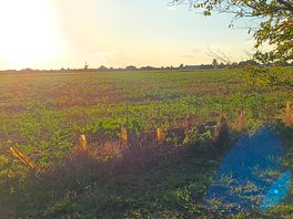 View across the fields