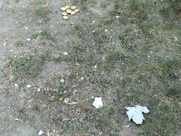 The ground next to our car
