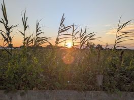 Amazing sunset.
