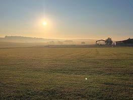 Early morning