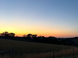 Newhaye farm july 2025