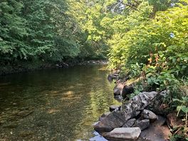 Beautiful peaceful calm river right next to our pitch.