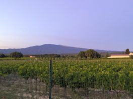 View from campsite