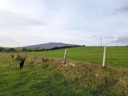 Lovely walk from the site
