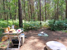 Camp