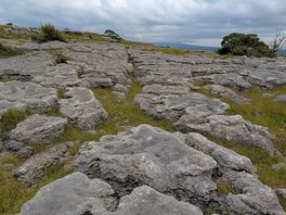 Limestone pavement on newbiggin crag