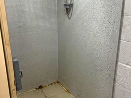 Toilet and shower area