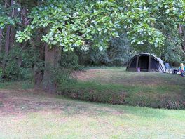 The bivvy amongst the trees
