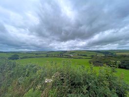 Devon