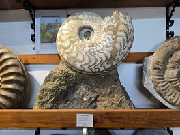Local museum