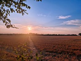 Sunset from the back of the site