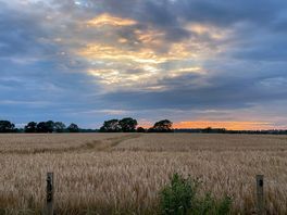 Lovely sunset