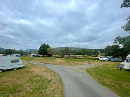 The site.