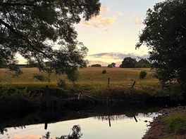 Idyllic stream right outside our pitch