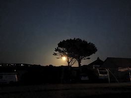 Moonlight on site