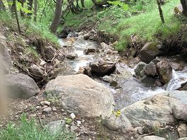 Stream beside camp