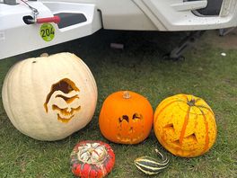 Pumpkin