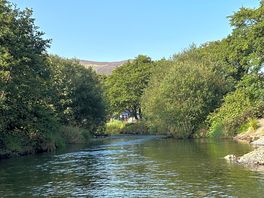 The stream/river