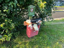 Doggy bag bins overflowing, great idea but needs regular emptying
