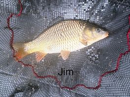 Great fishing