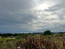 View from van