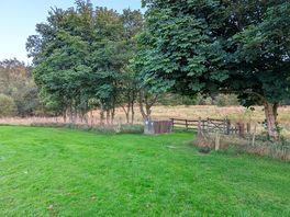 Nice local walks especially for the dogs.