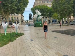 Avignon