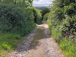 Easy walks nearby
