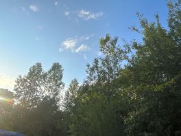 Bliss