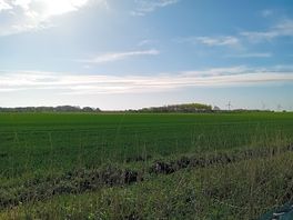 View of surrounding area