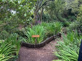 Play area/mini walk/mini forest