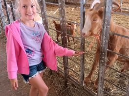 Maisy feeding the goats