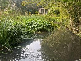 Pond