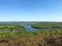 Beautiful views of the lake from our walk nearby