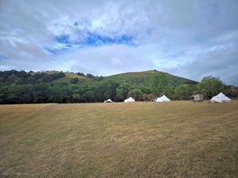 Alderwood glamping