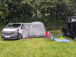 Flat pitches sheltered by trees.