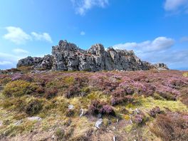 Stiperstones walk