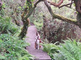 Bakers pit nature reserve
