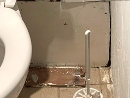 State of disrepair and filthy toilet brush!